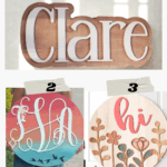 Joely Schaer Birthday Party