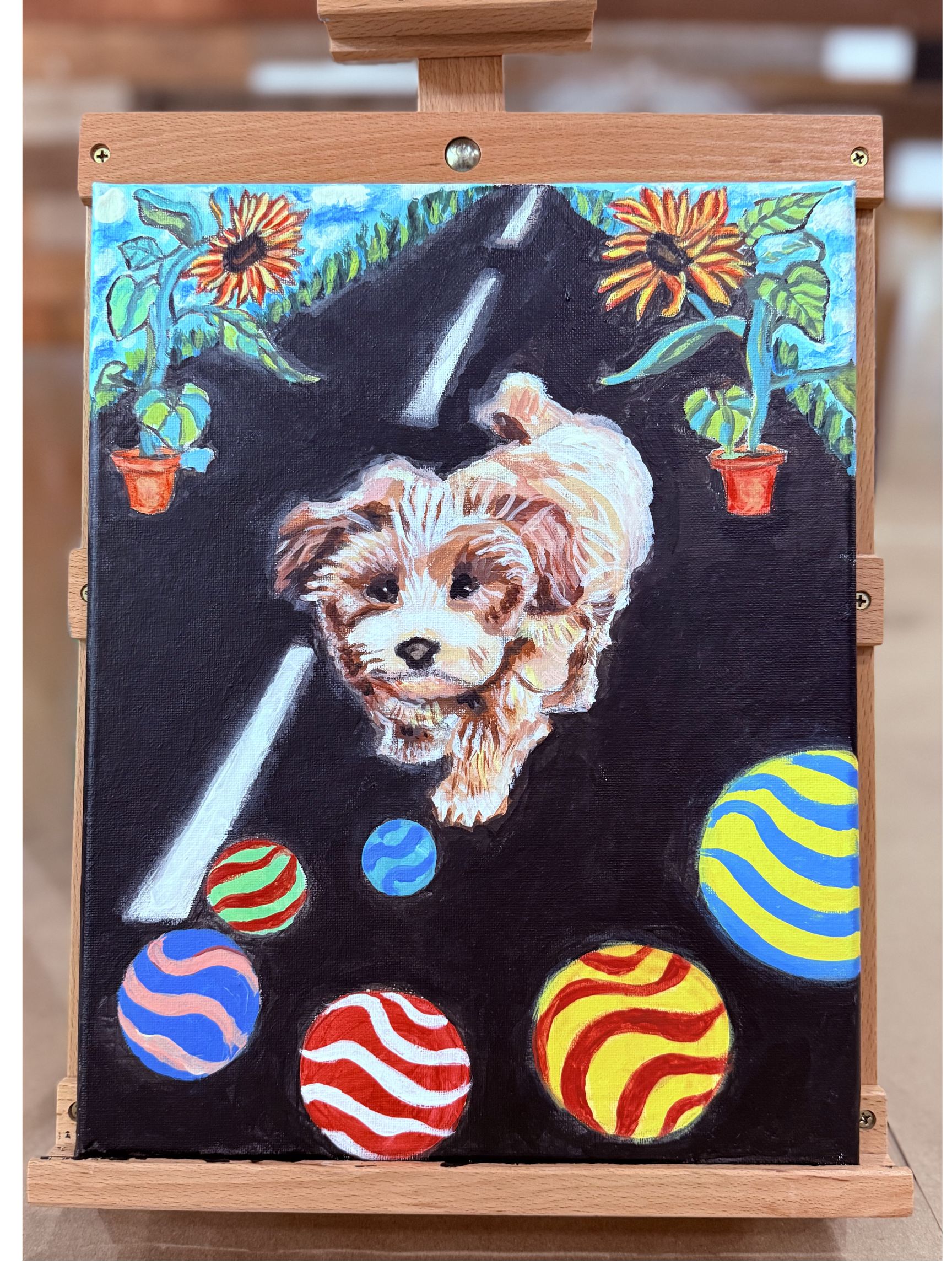 Paint Your Pet Class